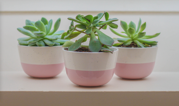 ceramic houseplant pot