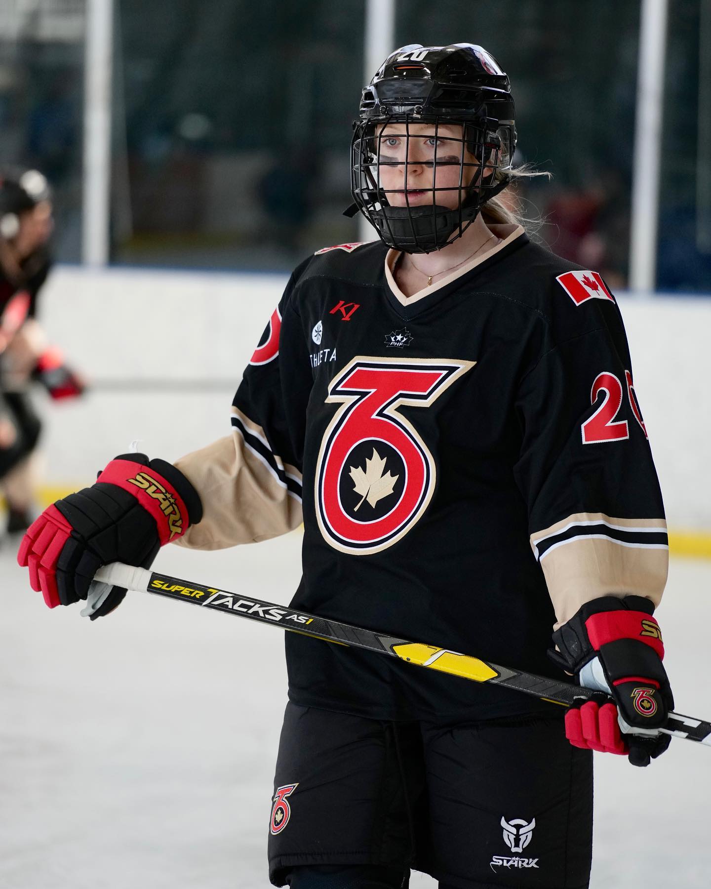Toronto women’s hockey team sold to investors including Ted Nolan