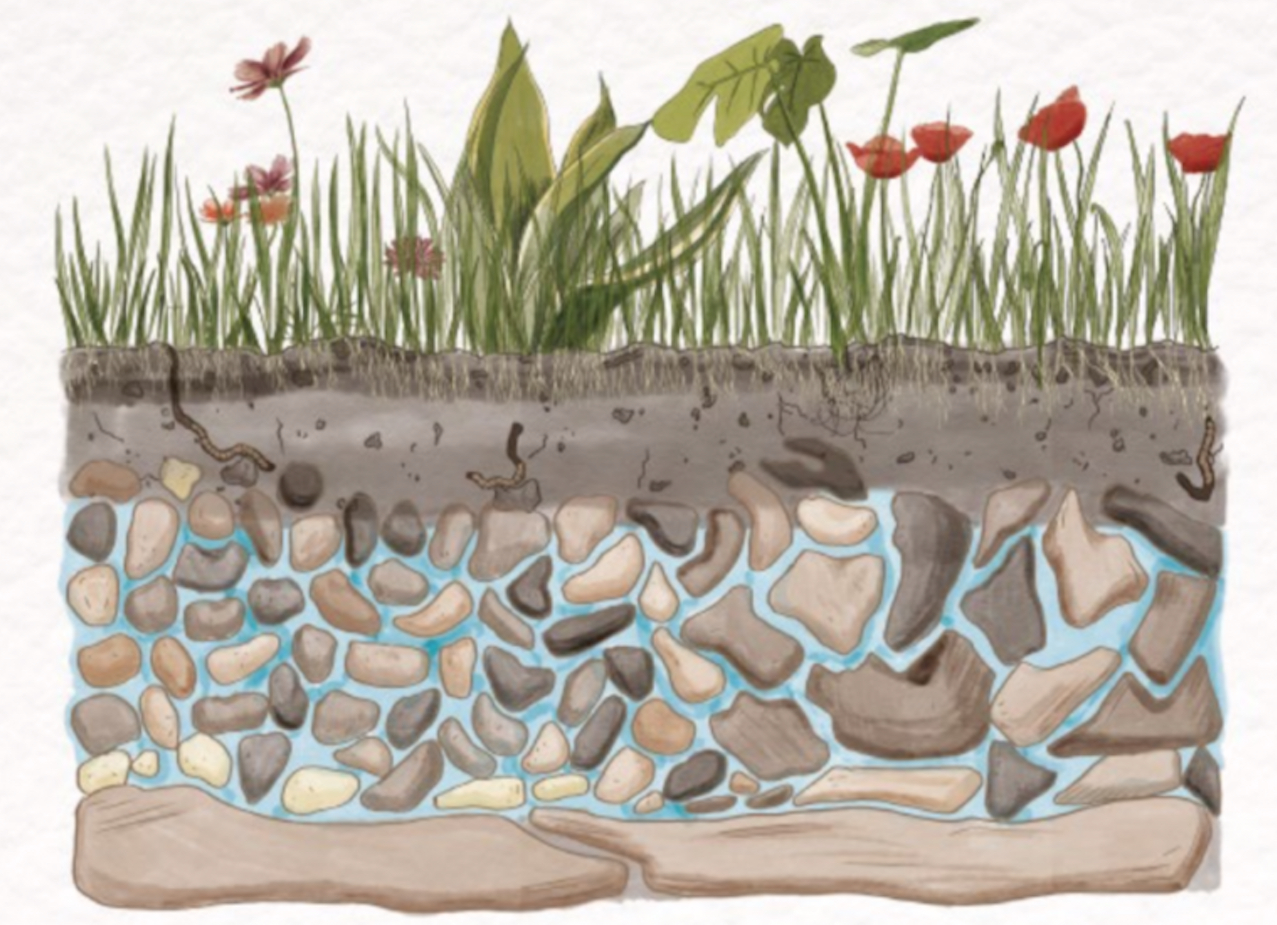 World Water Day 2022: Groundwater