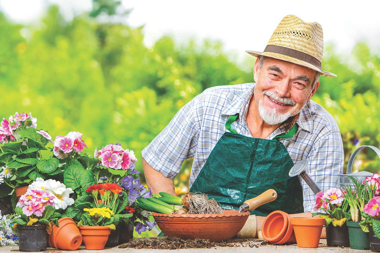 Summer fun for active seniors