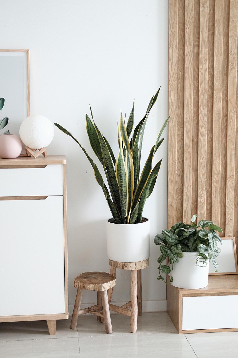Simple ways to stylize with plants