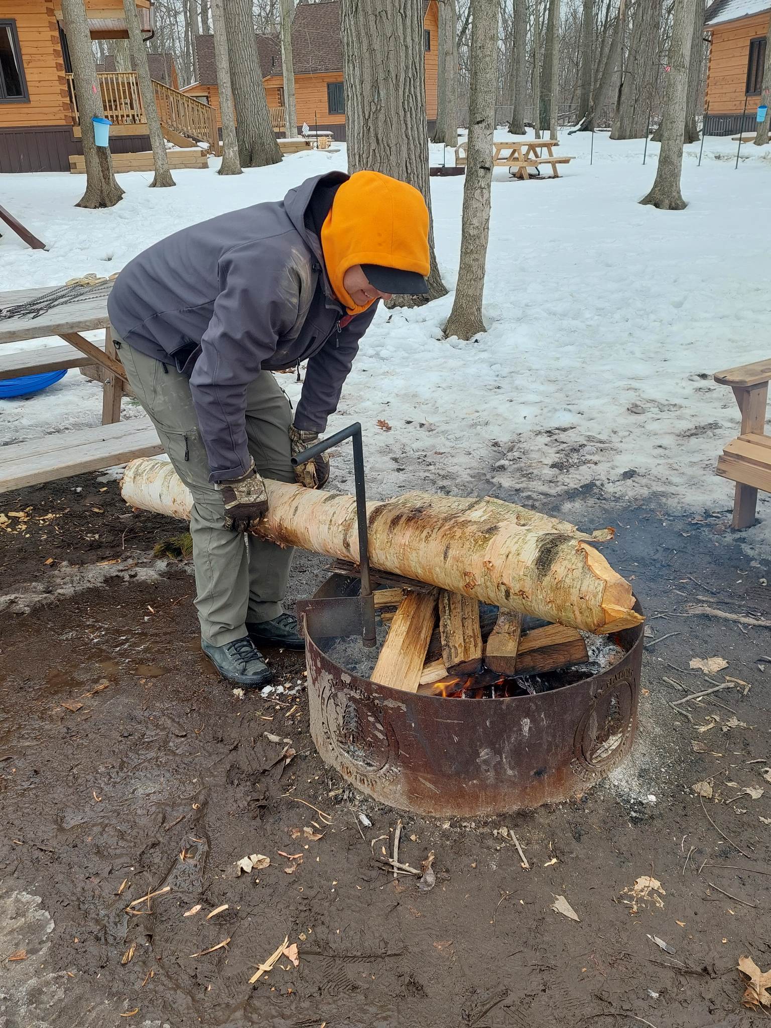 Maple syrup season is here