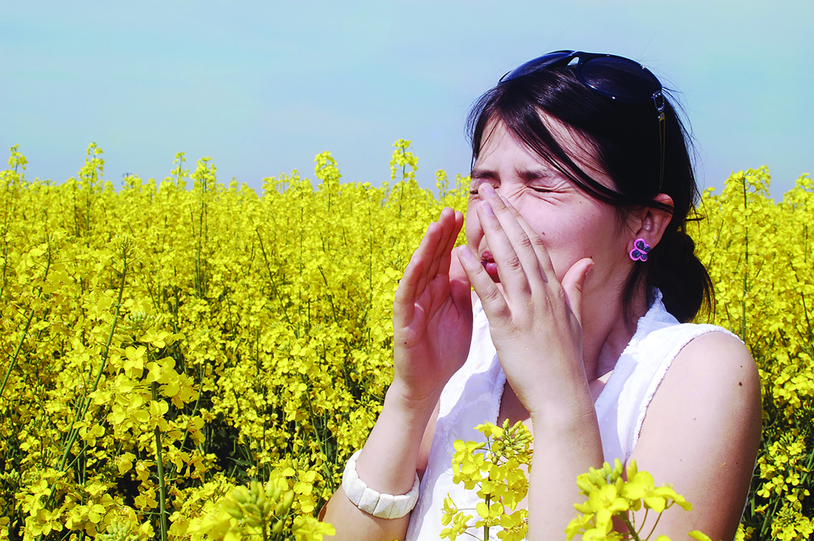 Common allergy triggers